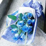 ӥ̶ʻԤ