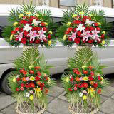 ӥ̶ʻԤ